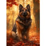 NORIMPEX Diamantové malování Německý ovčák 30 x 40 cm – Zboží Mobilmania