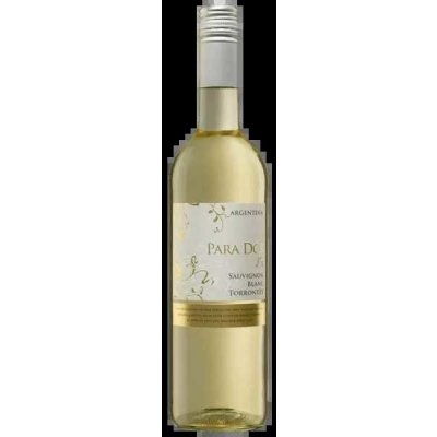 Para Dos Sauvignon Blanc Torrontés 2019 12,5% 0,75 l (holá láhev) – Hledejceny.cz
