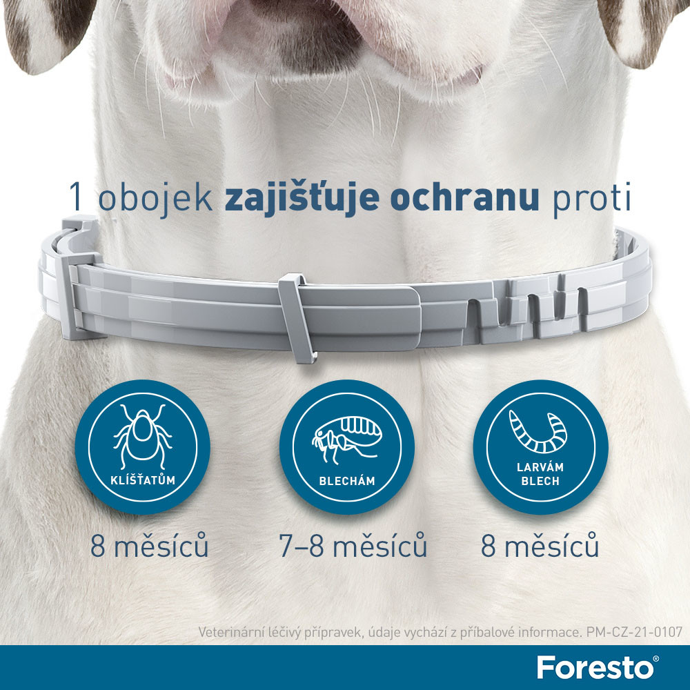 Foresto obojek pro malé psy a kočky do 8 kg 38 cm od 592 Kč - Heureka.cz