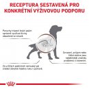 Royal Canin Veterinary Diet Dog Gastrointestinal Low Fat 12 kg