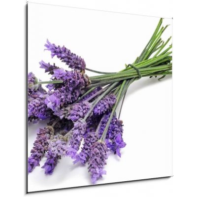 Obraz 1D - 50 x 50 cm - lavender levandule – Zbozi.Blesk.cz