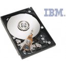 IBM 1TB, 3,5", 7200rpm, 81Y9806