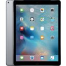 Apple iPad Pro Wi-Fi 256GB ML0U2FD/A