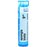SPONGIA TOSTA POR 9CH GRA 4G – Hledejceny.cz