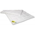 2G Lipov přikrývka Aloe Vera extra tenká 135x200 – Sleviste.cz