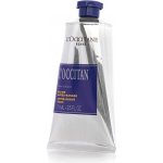 L'Occitane L'Occitant After Shave Balm balzám po holení 75 ml – Zbozi.Blesk.cz