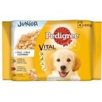 Pedigree Junior s kuřecím masem v želé 4 x 100 g – Hledejceny.cz