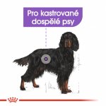 Royal Canin Maxi Adult Sterilised 12 kg – Hledejceny.cz