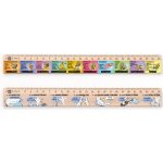 Metrie DSM09 pravítko 25 cm Slovní druhy + pravítko 25 cm Mluvnické pády – Zboží Živě