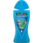 Palmolive Aroma Sensations Feel The Massage sprchový gel 250 ml – Hledejceny.cz