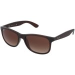 Ray-Ban RB4202 6073 13 – Hledejceny.cz