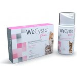 Dr.Vet WeCysto podpora močov.ústrojí 100 ml – Hledejceny.cz