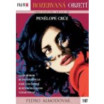 Tajemný předmět touhy DVD – Hledejceny.cz