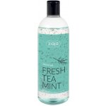 Ziaja Fresh Tea Mint sprchový gel 500 ml – Zboží Mobilmania