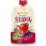 Ovocnák Mošt jablko a lesní ovoce 200 ml – Zboží Dáma Ovocnák Mošt jablko a lesní ovoce 200 ml – Zboží Dáma