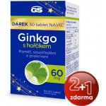 GS Ginkgo 2023 60 mg s hořčíkem 90+30 tablet – Sleviste.cz