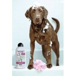 Wahl Clean and calm 750 ml – HobbyKompas.cz