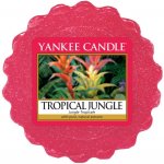 Yankee Candle vonný vosk Tropical Jungle 22 g – Hledejceny.cz