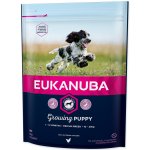 Eukanuba Puppy & Junior Medium Breed 3 kg – Hledejceny.cz