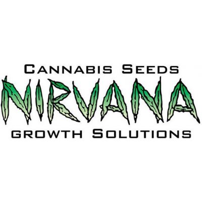 Nirvana seed Somango XXL semena neobsahují THC 3 ks – Zboží Mobilmania