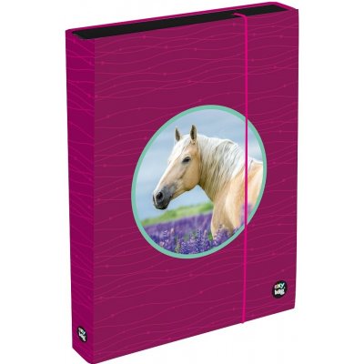 Karton P+P A4 Jumbo Oxy Sherpy Robot 471172 – Zboží Dáma