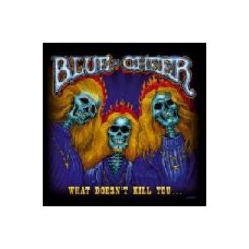 BLUE CHEER USA - WHAT DOESN´T KILL YOU ? CD