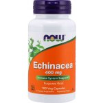 Now Foods Třapatka Echinacea 400 mg 250 kapslí – Hledejceny.cz