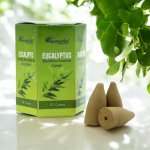 Aromatika Vonné kužele Tekoucí dým Eukalyptus 10 ks – Zboží Dáma