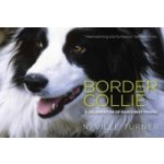 Border Collie – Zboží Dáma