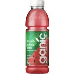 Ganic Vitamin voda meloun/máta 0,5 l – Hledejceny.cz