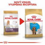 Royal Canin Cocker Puppy 3 kg – Sleviste.cz