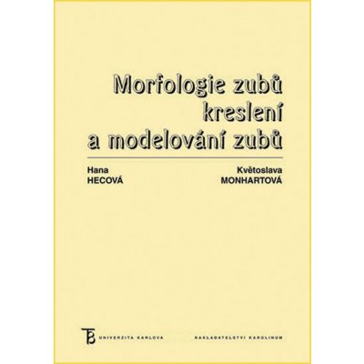 Morfologie zubů. Kreslení a modelování zubů – Zbozi.Blesk.cz