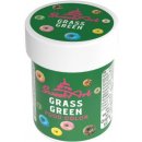 SweetArt gelová barva Grass Green 30 g