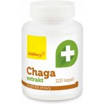 Wolfberry Chaga extrakt kapsle 120 ks – Hledejceny.cz