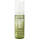 Caudalie Cleaners & Toners čistící pěna Instant Foaming Cleanser 50 ml