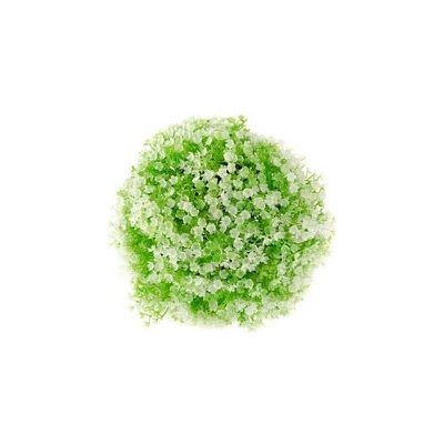 Buxus s bílou kytičkou DKKYT18013 – Sleviste.cz