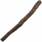 Repti Planet Korková větev L 60-90 cm – Zboží Dáma