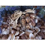 levandule-online.cz Dekorační mušličky světle hnědé 1 kg – Hledejceny.cz