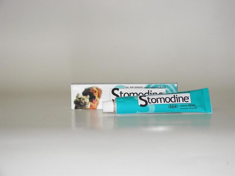 ICF Stomodine gel 30 g