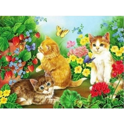 Norimpex diamantové malování Koťata na zahrádce 40 x 30 cm – Hledejceny.cz