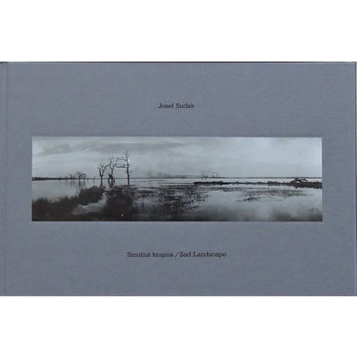 Josef Sudek: Smutná krajina / Sad Landscape
