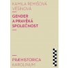 Elektronická kniha Gender a pravěká společnost - Kamila Remišová Věšínová