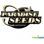 Paradise Seeds Original White Widow semena neobsahují THC 10 ks – Sleviste.cz