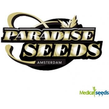 Paradise Seeds Space Cookies semena neobsahují THC 10 ks