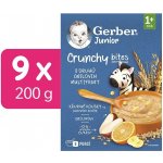 Gerber Junior nemléčná kaše ovocná s křupavými kousky 9 x 200 g – Zboží Dáma