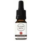 Bachovy květové bio esence Les fleurs de Bach Pramenitá voda Rock Water 10 ml – Hledejceny.cz