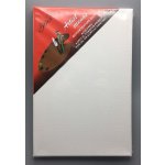 pkstar.cz Malířské plátno na rámu 20 x 30 cm PK53-1 – Hledejceny.cz