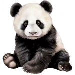 Nažehlovací obrázek - sedící panda (dva rozměry), Velikost: Velká – Zboží Dáma