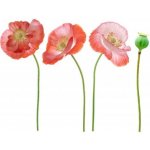 IMPOL TRADE DS 410-11 Samolepky na zeď vlčí máky rozměr 92 cm x 120 cm – Zboží Dáma