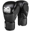 Boxerské rukavice Phantom Riot Pro
